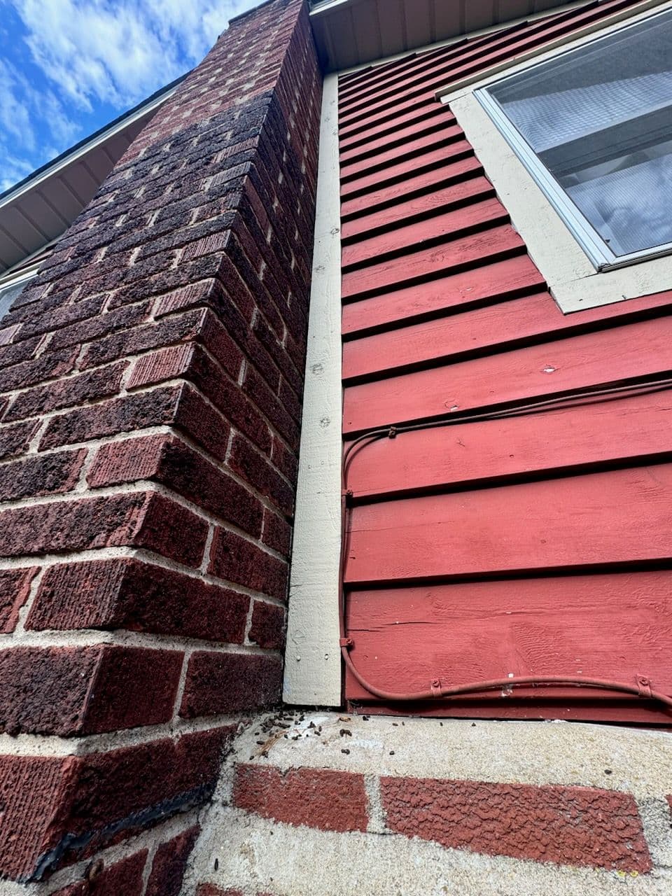 Project Bat Exclusion Services for Homeowners image