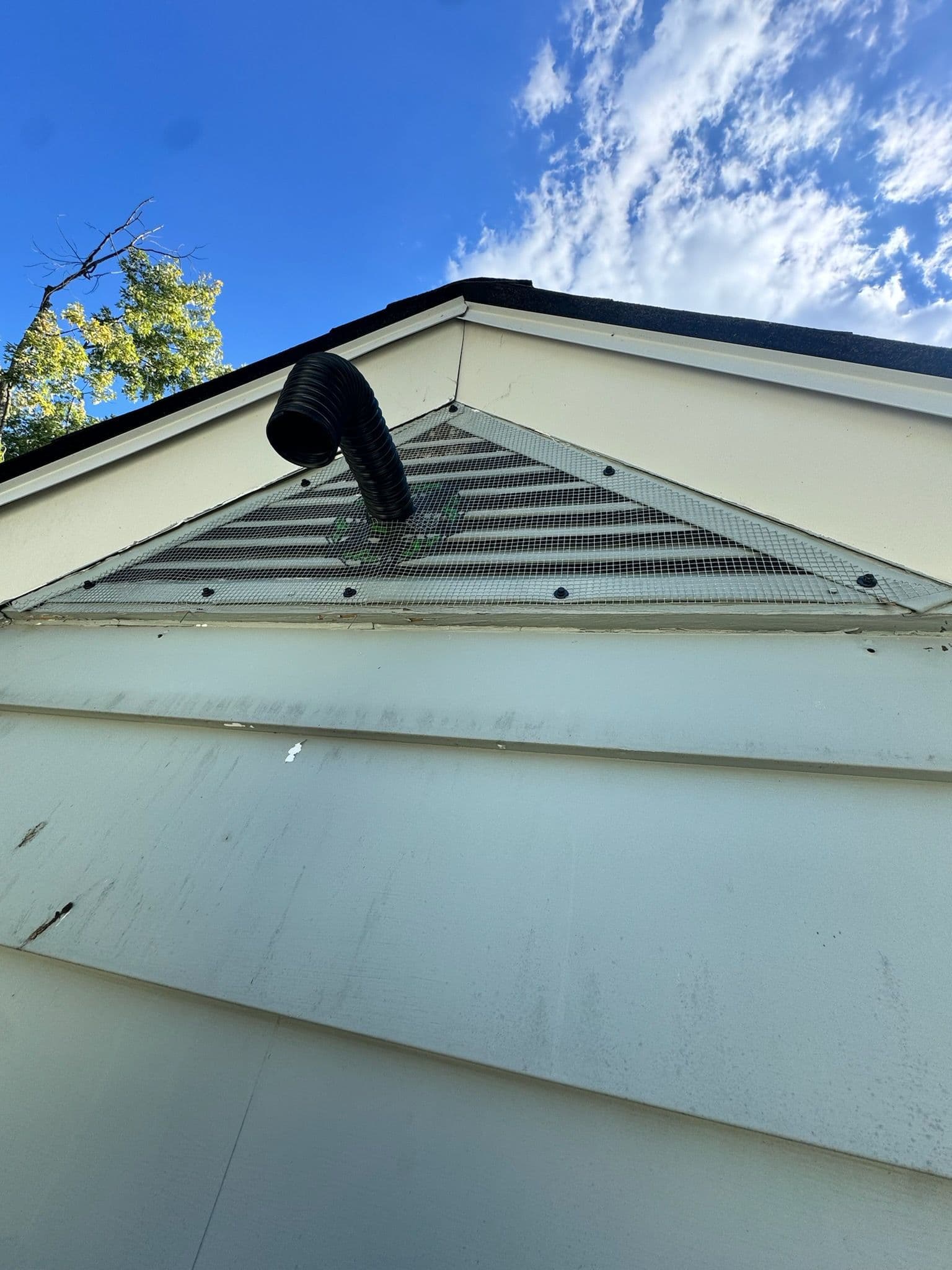Expert Bat Removal Solution in Mount Vernon image