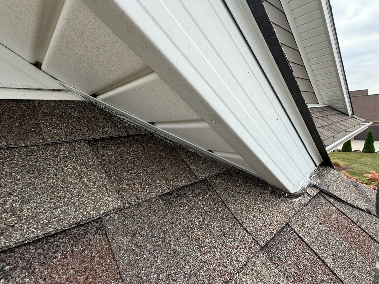 Effective Bat Exclusion for Safe Homes image