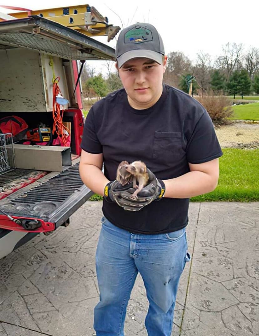 Commitment to Humane Solutions's image