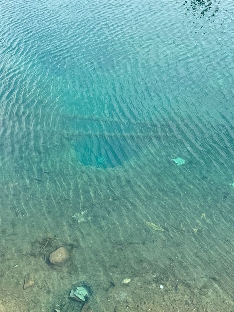 Restoring Pond Integrity by Addressing Muskrat Damage in Mount Vernon image