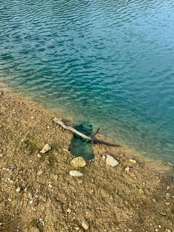 Gallery photos for Restoring Pond Integrity by Addressing Muskrat Damage in Mount Vernon: Image #2